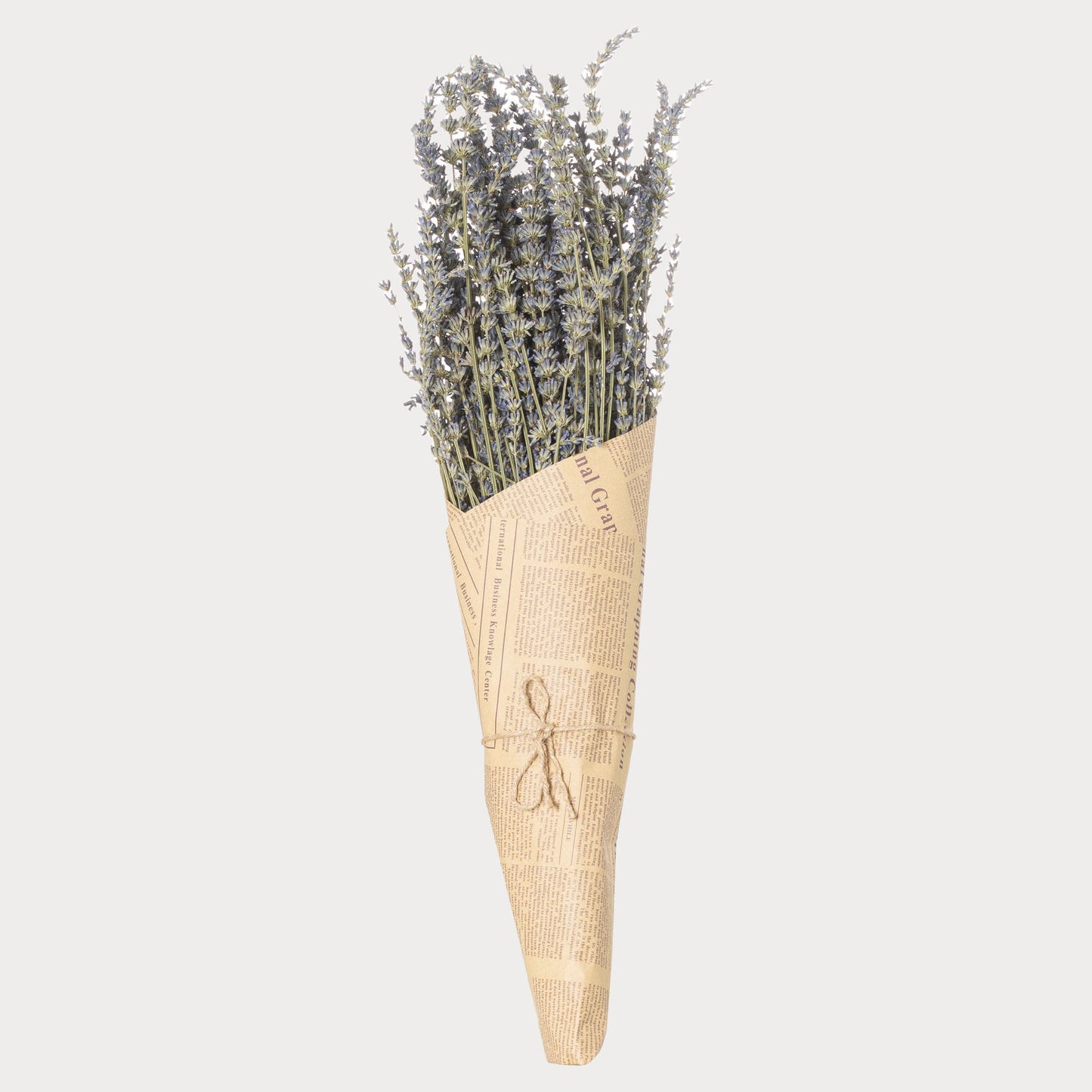 Close-up of the Paper Wrapped Lavender Bunch showcasing its rustic wrapping and vibrant lavender sprigs.
