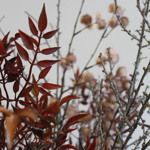 Multiple Autumnal Leaf Sprays displayed together, creating a rich and warm decorative statement.