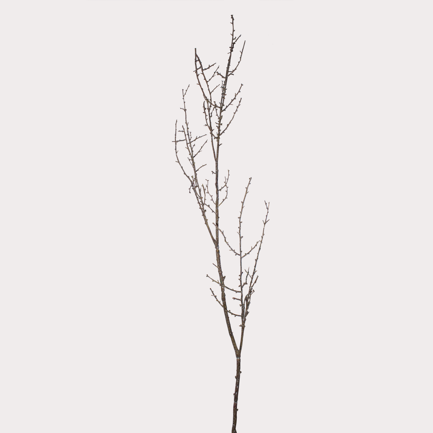 Multiple artificial Twig Stems arranged together, creating a minimalist decorative statement.