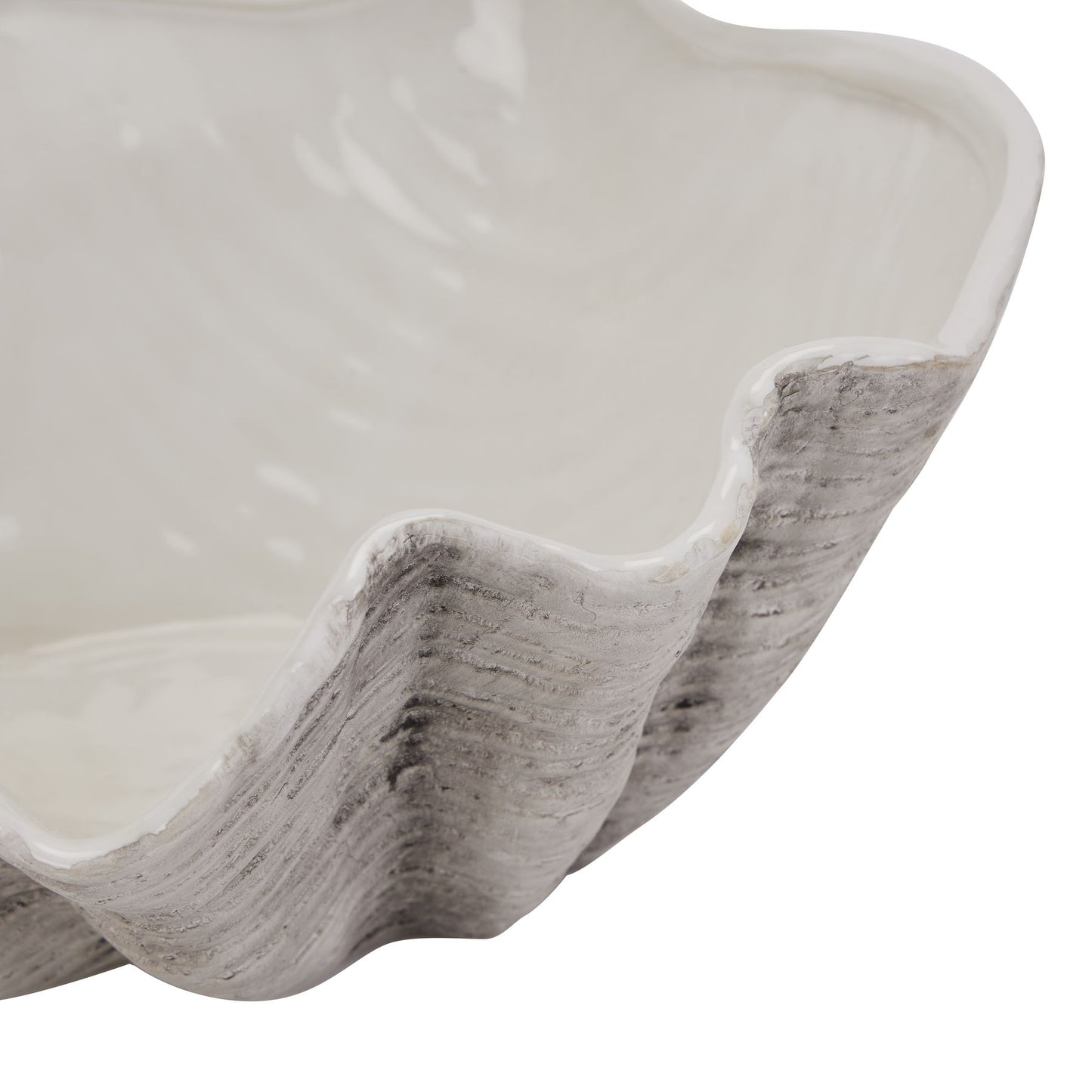 Side profile of Seashell Inspired Bowl highlighting its elegant curves and texture.