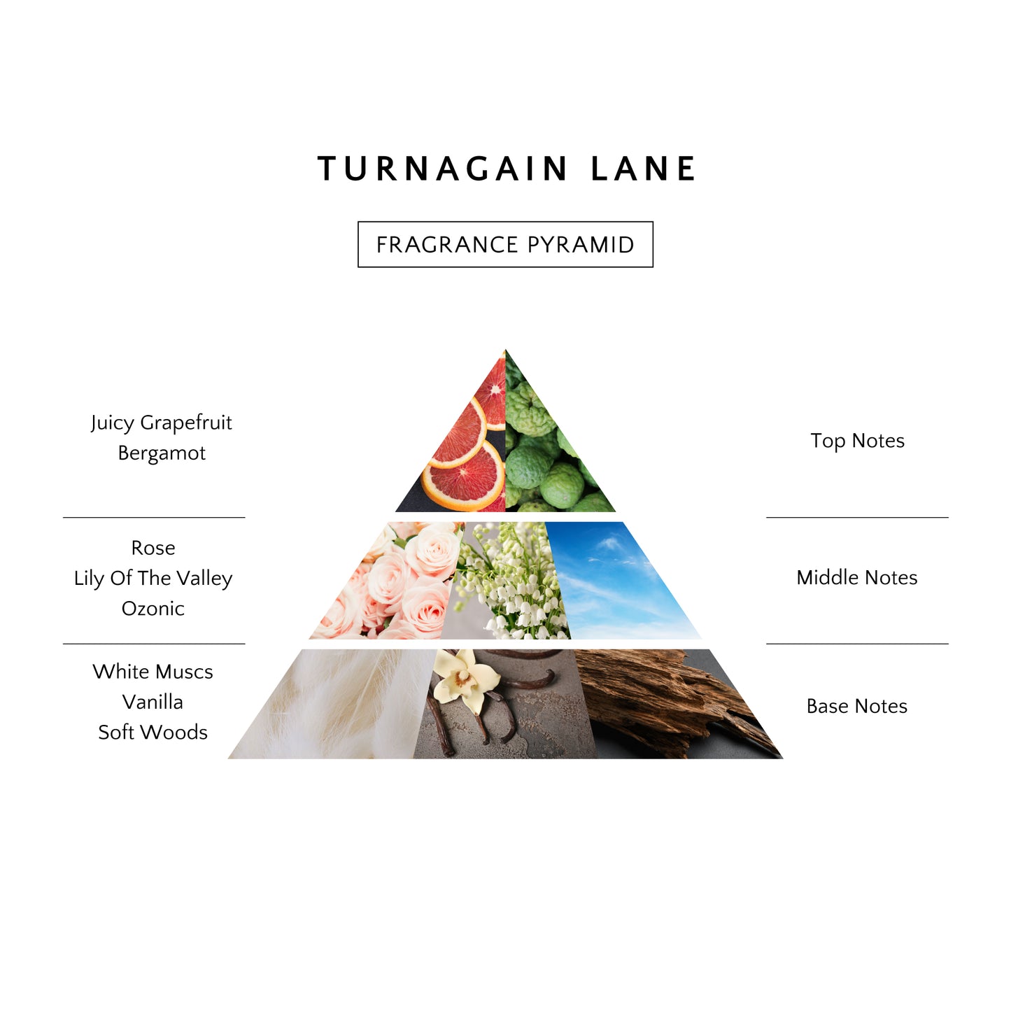 Turnagain Lane Luxury Scented Candle lit, casting a warm glow in a cozy living room setting.