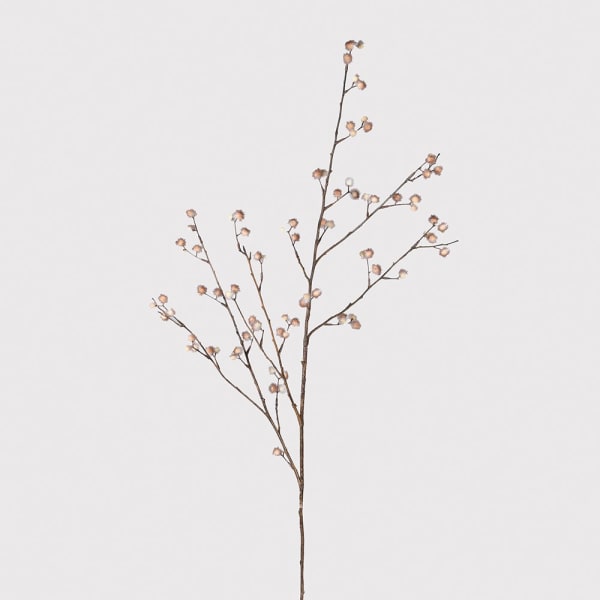 Close-up of Pom Pom Spray showcasing delicate pom poms in a dusty color palette.