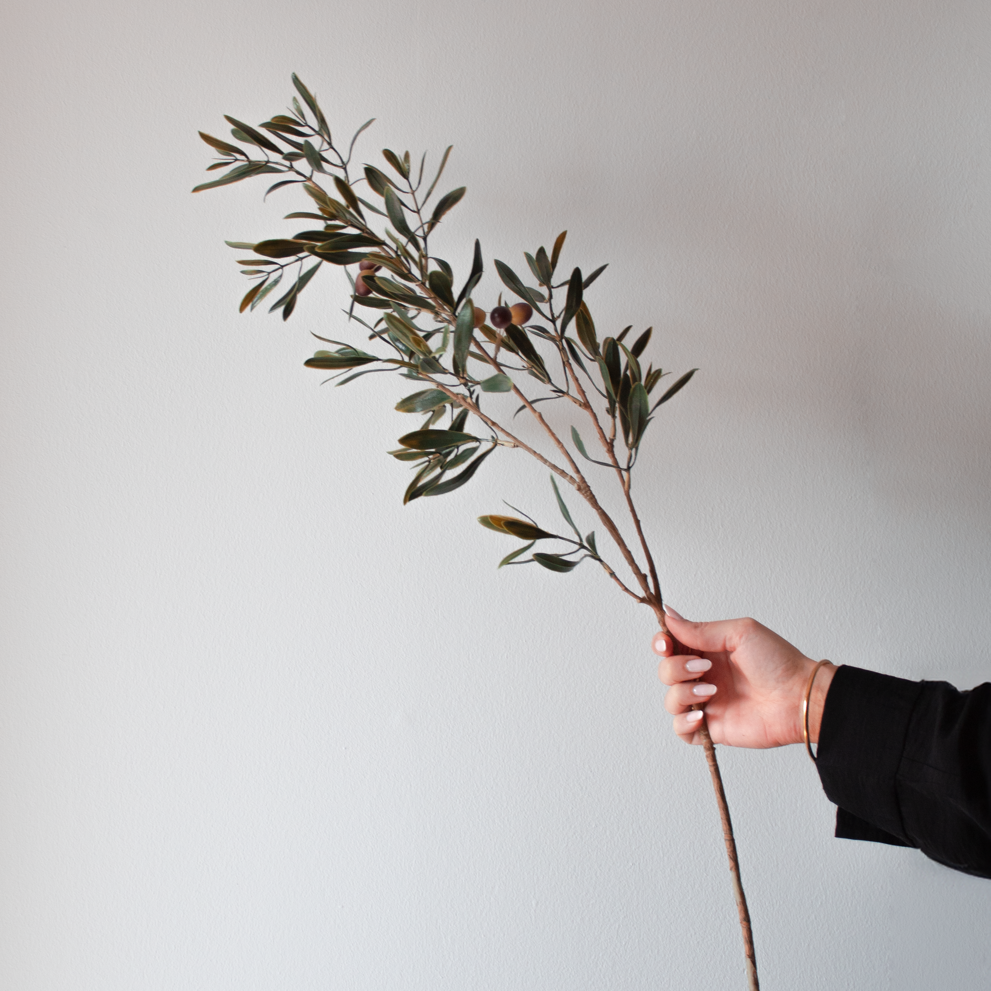 Lifelike artificial Olive Branch, ideal for home décor, available at Clarkson Lee Lifestyle.