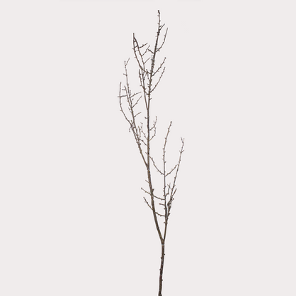 Multiple artificial Twig Stems arranged together, creating a minimalist decorative statement.