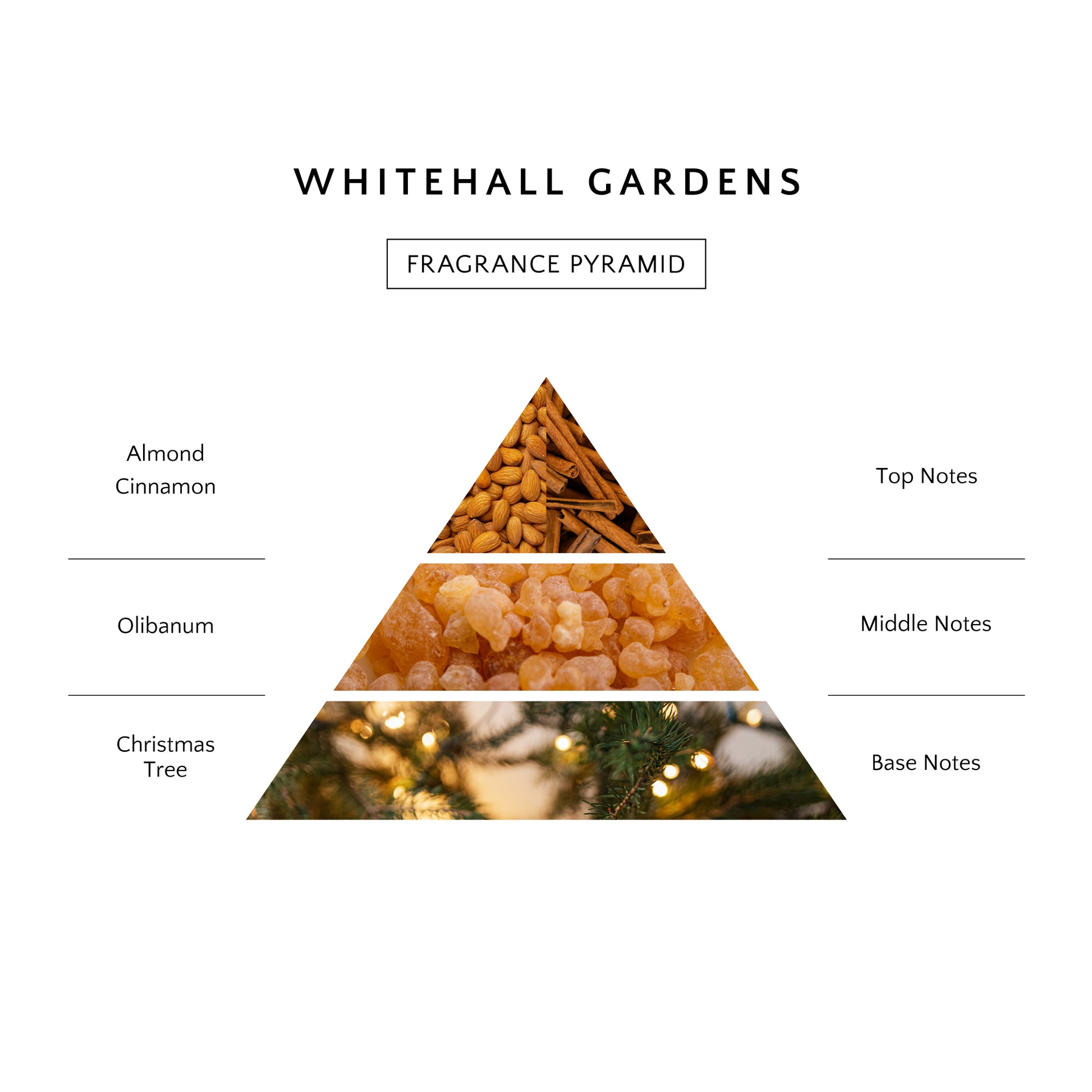 Top view of Whitehall Gardens Luxury Scented Candle highlighting the pristine wax and subtle design.